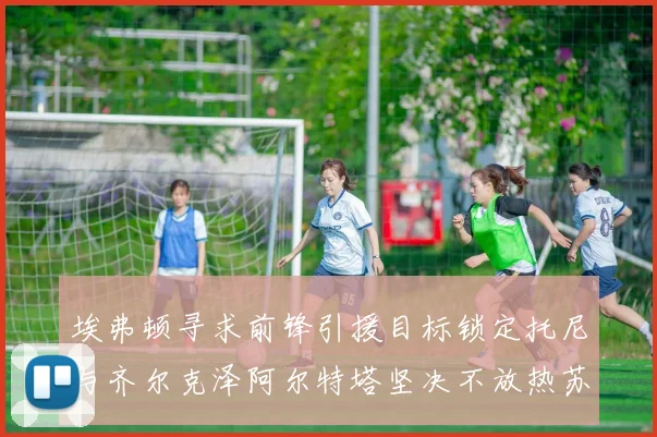 埃弗顿寻求前锋引援目标锁定托尼与齐尔克泽阿尔特塔坚决不放热苏斯